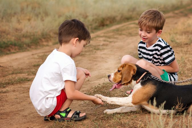Two little brothers walking the dog