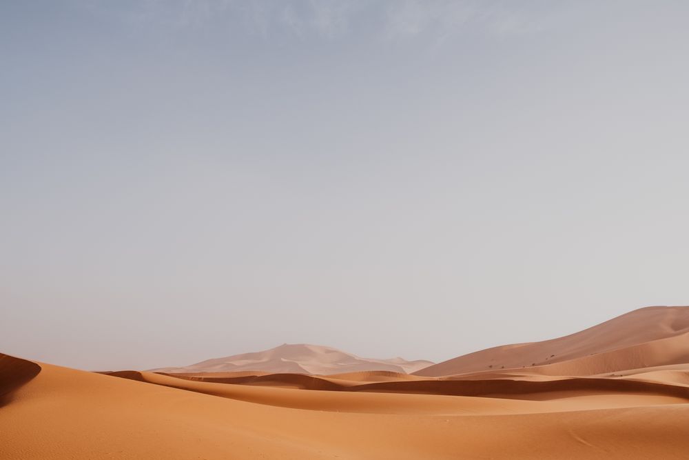 Sandy dune in arid desert