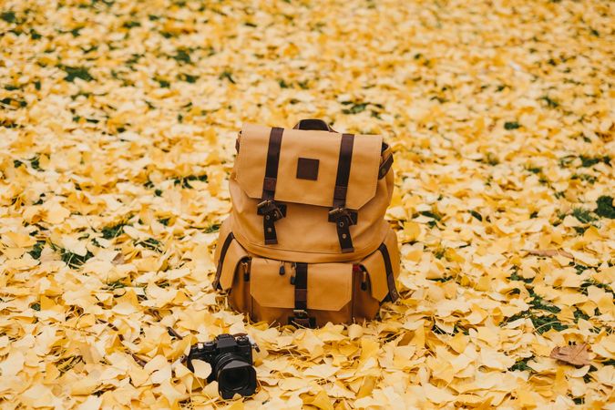 Backpack and camera on autumn leaves background