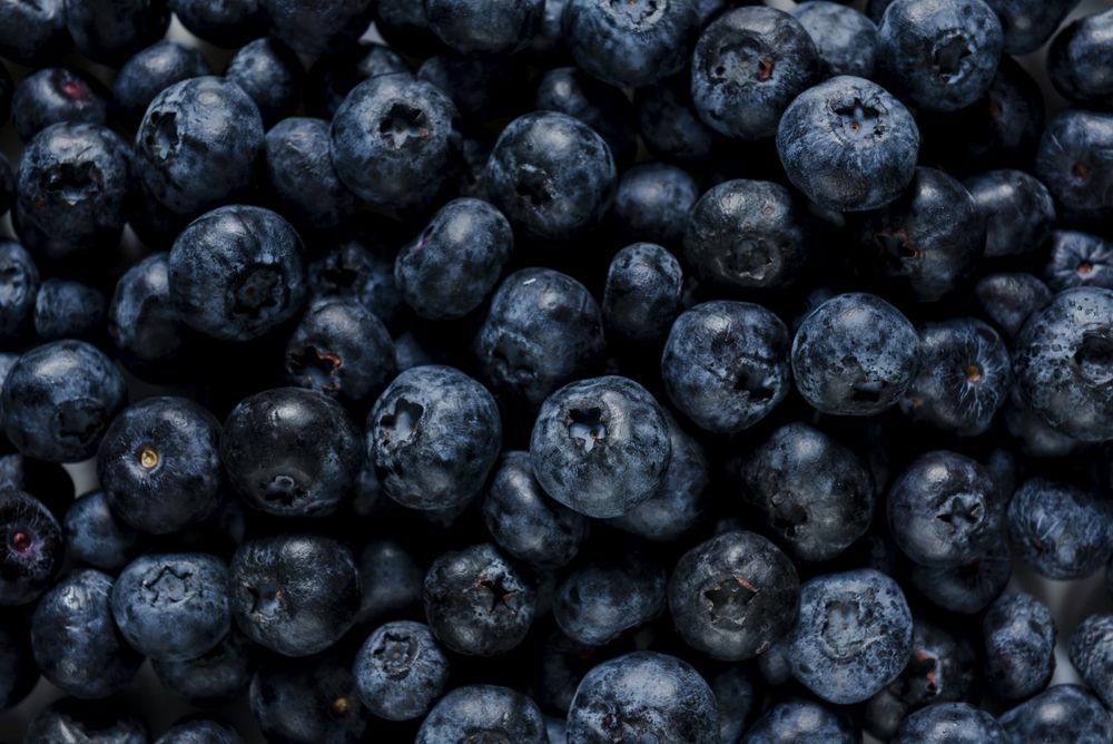 Blueberries close up flat lay