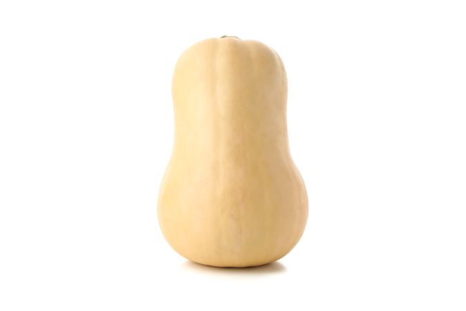 Fresh butternut squash isolated on neutral background