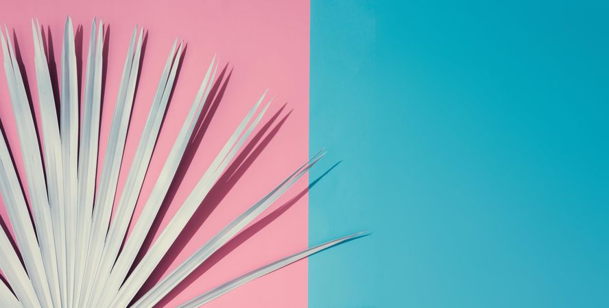 Tropical leaf on pastel pink and blue background