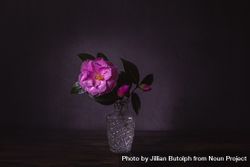 Camellia flower in bloom in glass vase on wooden table 4j98r5