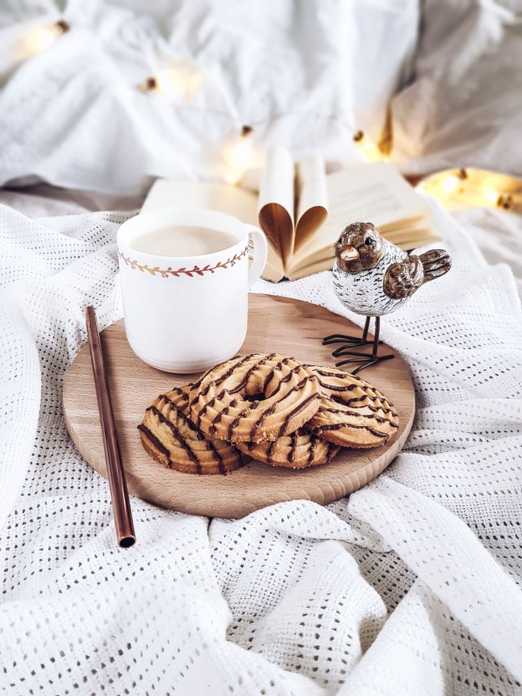 Book and a bird on plate of cookies and hot chocolate on bed