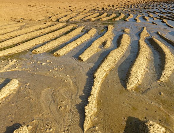 Beach Sand