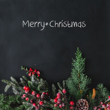 Christmas background made of branches and red berries on dark background with “Merry Christmas”
