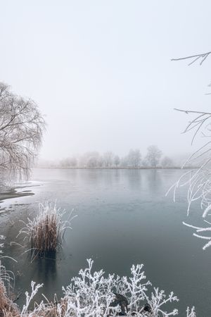 Lake framed with frosted trees