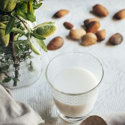 Glass of almond milk next to plate of almonds in shells on kitchen table