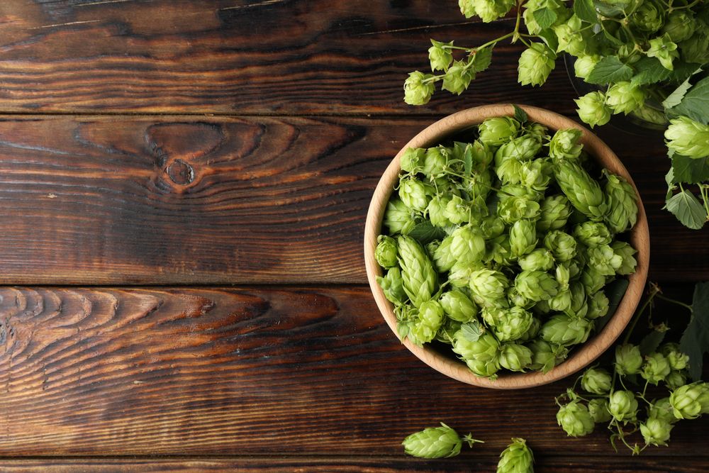 Wooden bowl and glass jar with hop on wood background, top view