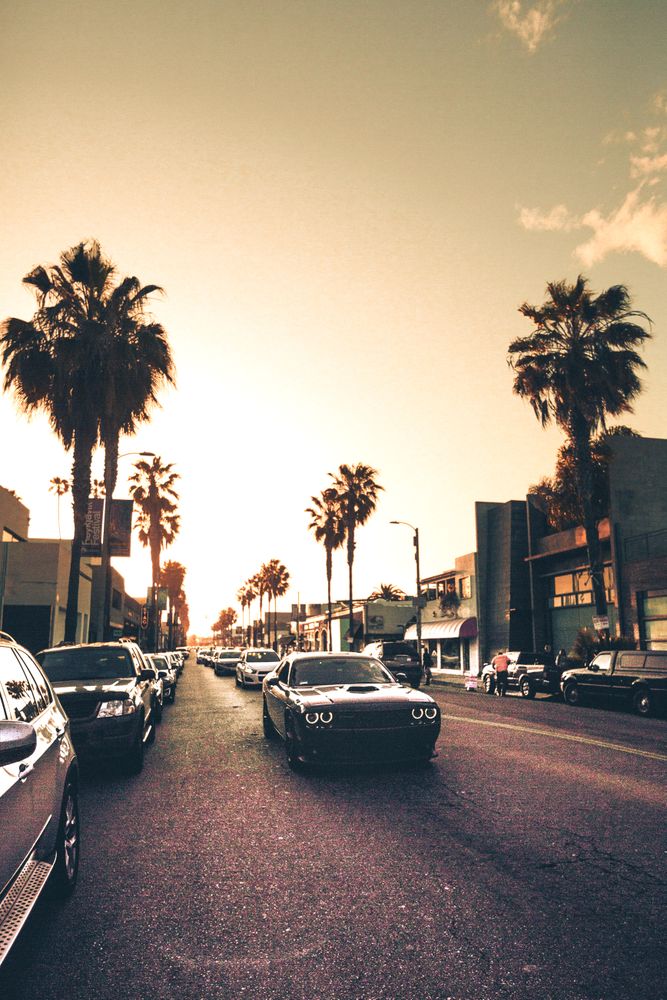 Cars on road during sunset
