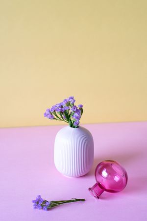 Violet sea lavender flowers in a pink and yellow background