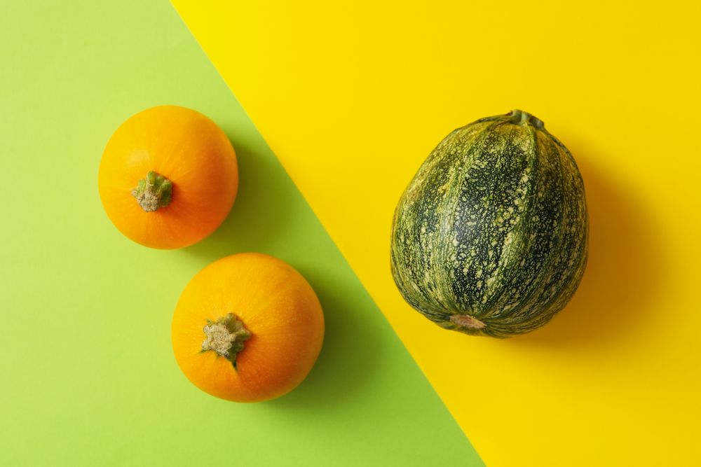 Round zucchini on two tone background, top view