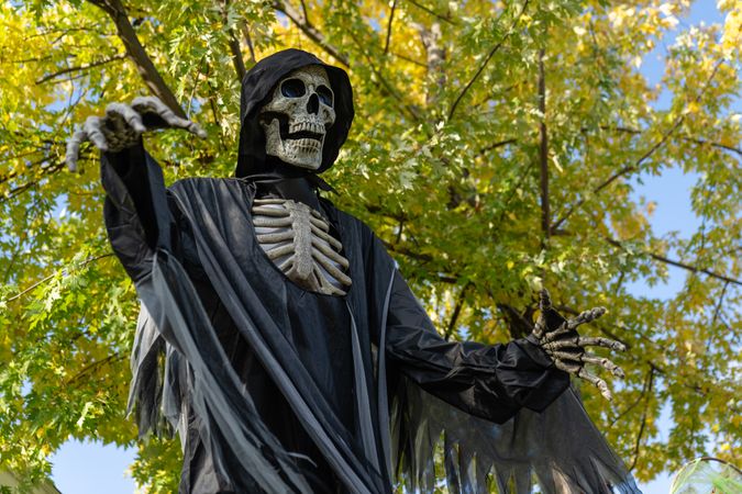 Spooky outdoor halloween decorations
