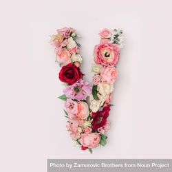 Letter V made of real natural flowers and leaves 436MR5