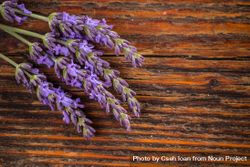 Bunch of lavender flowers on wooden table 4MGGnx