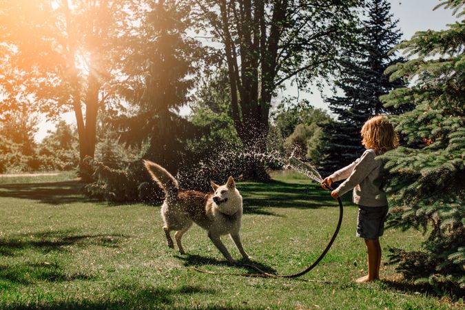 Boy playing with brown dog with hose in nature