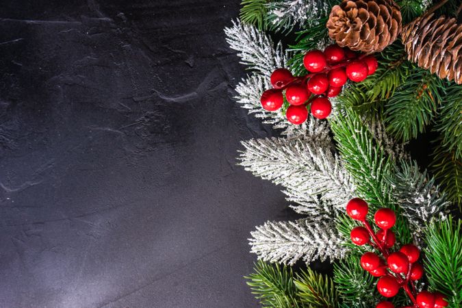 Christmas frame concept of pine and berries on concrete background