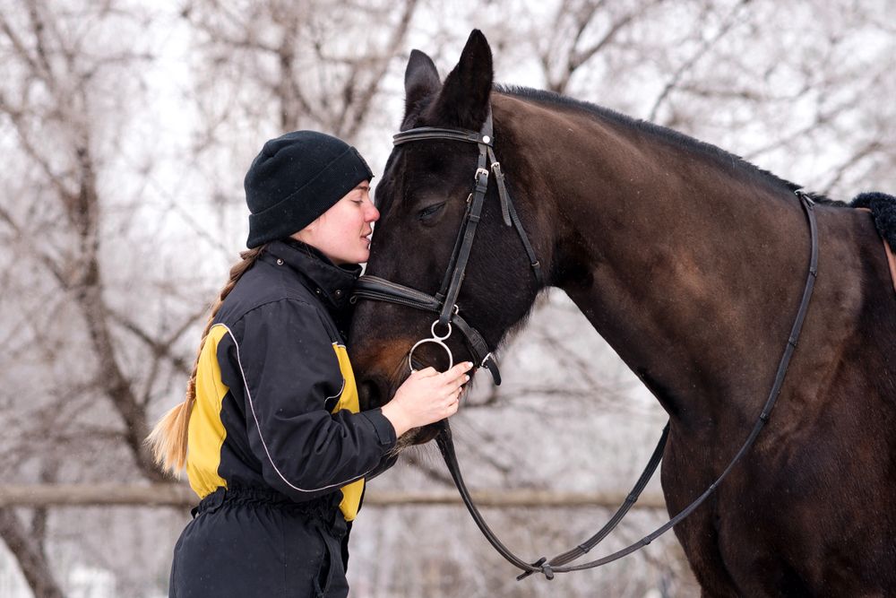 Person caressing and comforting horse outdoors.