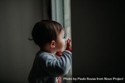 Little toddler looking out the window 4BMNk5