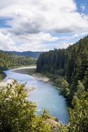 Beautiful river surrounded by tall mountainous trees, vertical