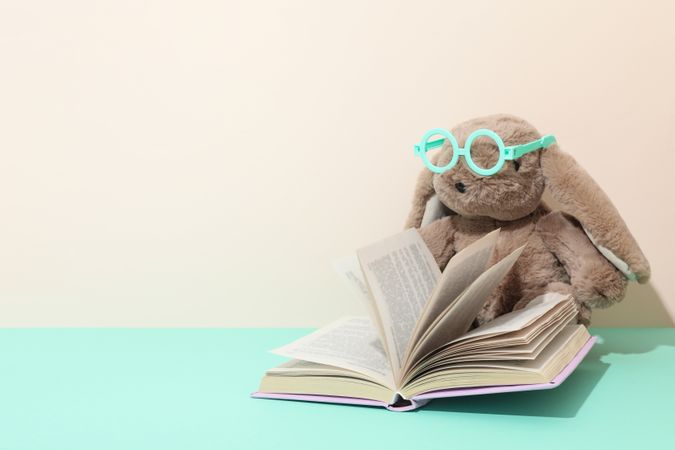 Concept of baby book, space for text