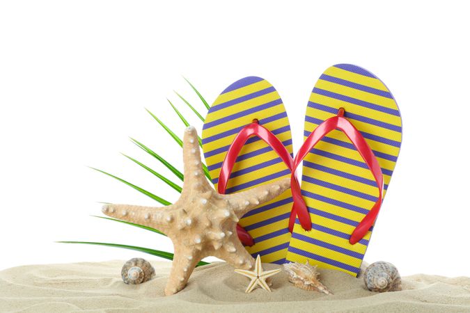 Flip flops with starfish, seashells and palm leaf on clear sea sand isolated on plain background. Summer vacation