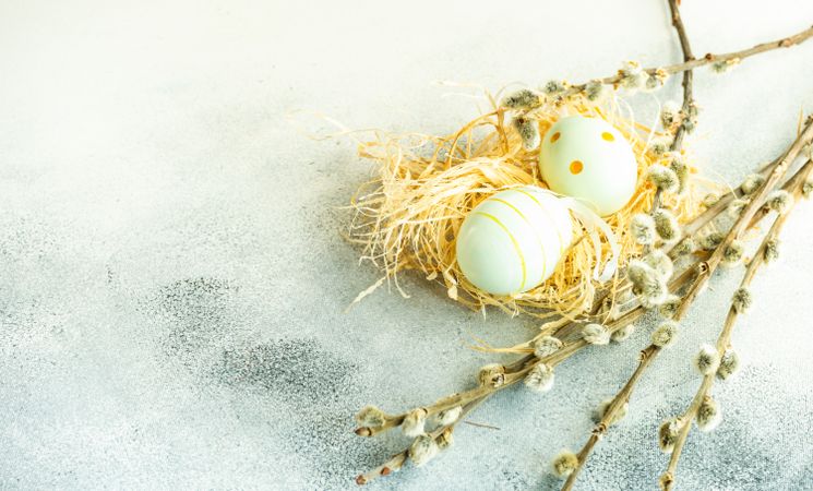 Easter holiday concept with pastel decorative eggs in nests with pussy willow