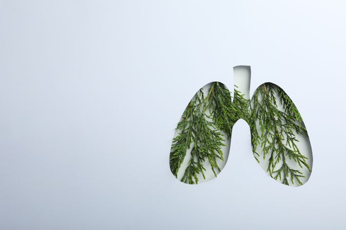 Lung shape cut out of paper with green plant underneath with copy space