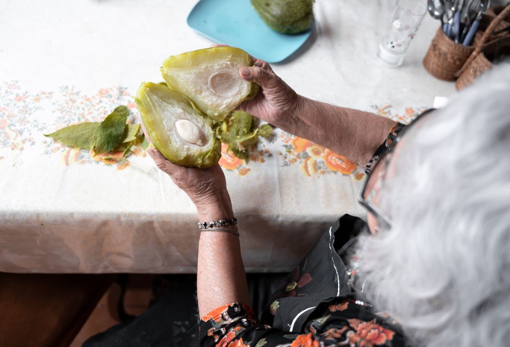 A woman is showing the inside of a fresh cooked chayote after peeling it