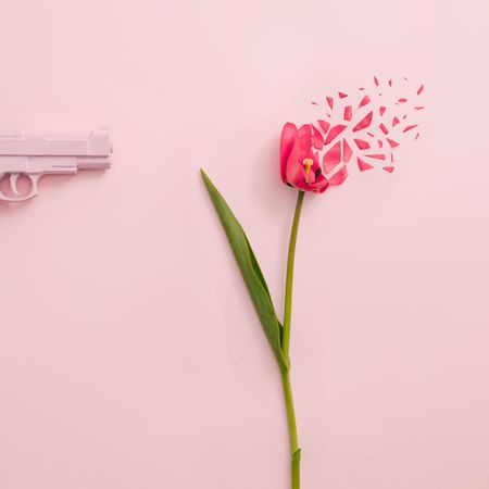 Pink gun and red tulip flower exploding on pastel pink background