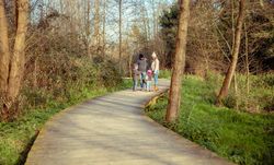 Young family together on forest trail