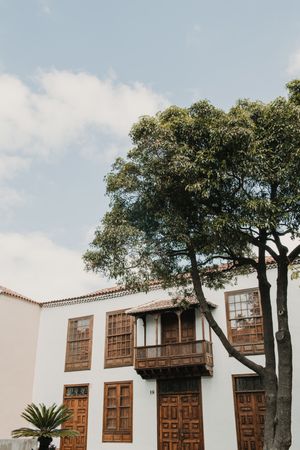 Tree near wonderful facade of retro house