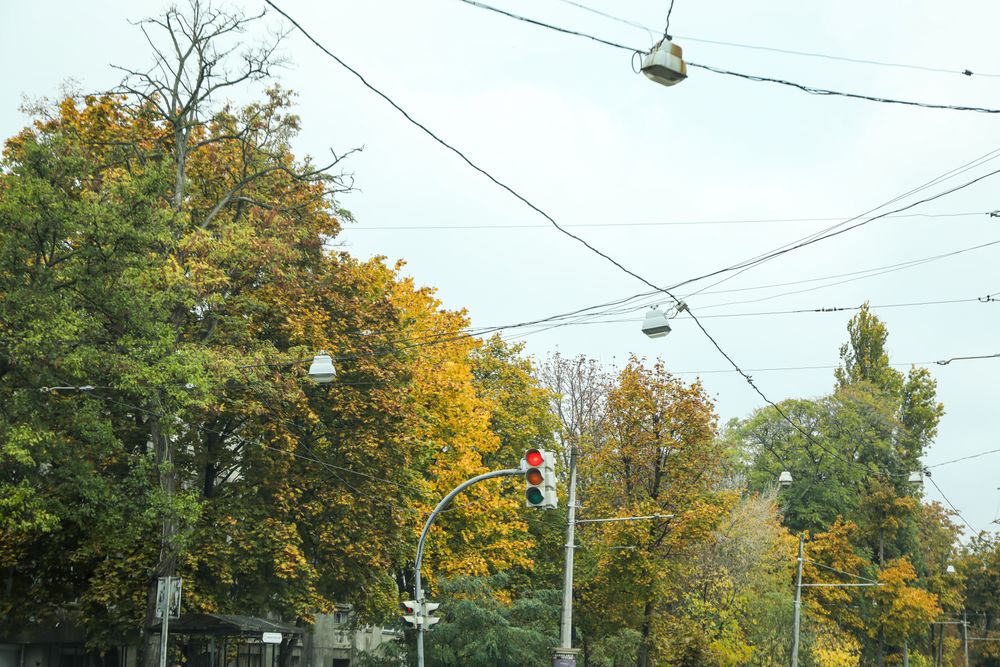 Rainy, autumn, city park in the morning