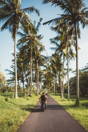 Man riding motorcycle among palm trees
