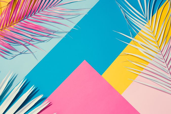 Tropical leaves on colorful bright geometric pattern of yellow, blue, and pink paper