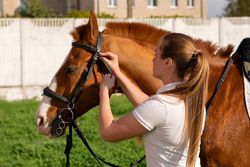 Woman attaching bridle to horse