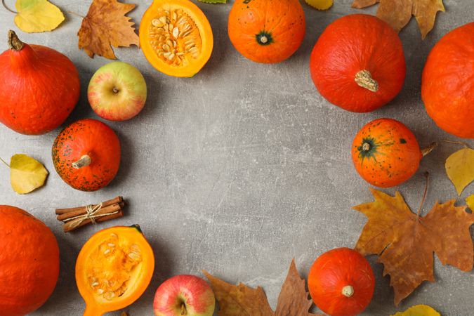 Composition with pumpkins on grey background, space for text