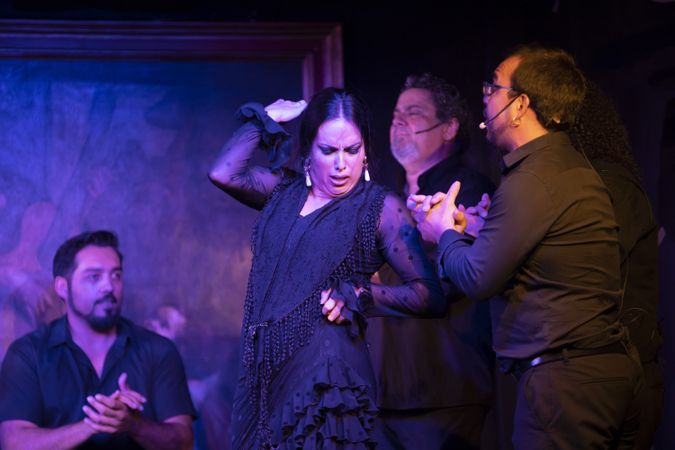 Flamenco performance on stage