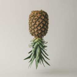 Upside down pineapple on light background