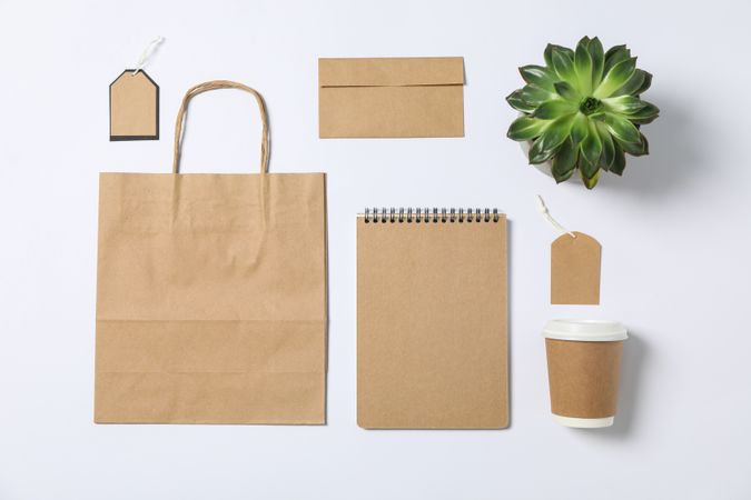Flat lay composition with blank stationery, paper bag and succulent on plain background, mockup