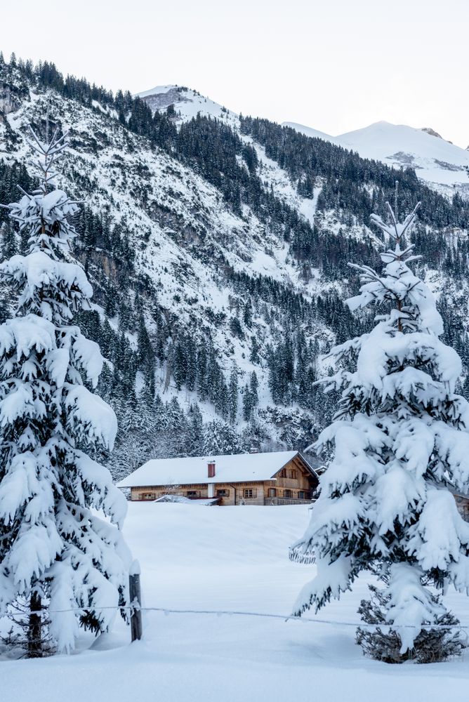 Winter scenery with snow-covered trees and cabin in Bavarian Alps, Germany