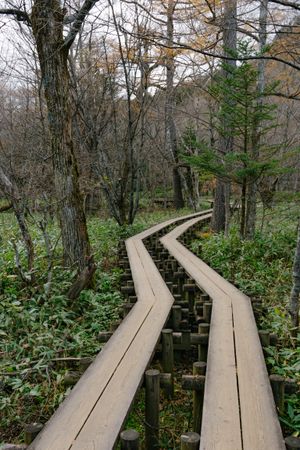 Landscape of Kamikochi trail (Japan alps / Japanese mountain)