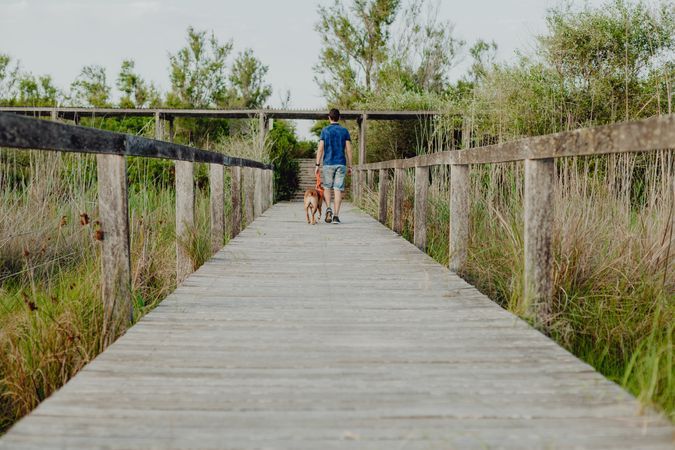 Happy adult man walking with dog along countryside