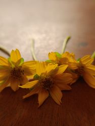 small sunflower background on the table