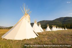 Yellowstone Revealed: Teepee Village at Madison Junction 4A1q84