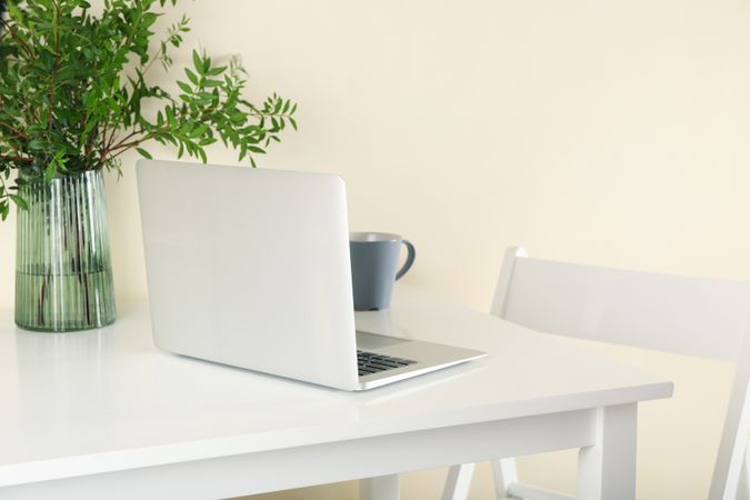 Laptop, vase with plant and coffee on light table