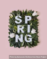 “SPRING” text with leaves and flowers bGWjXb