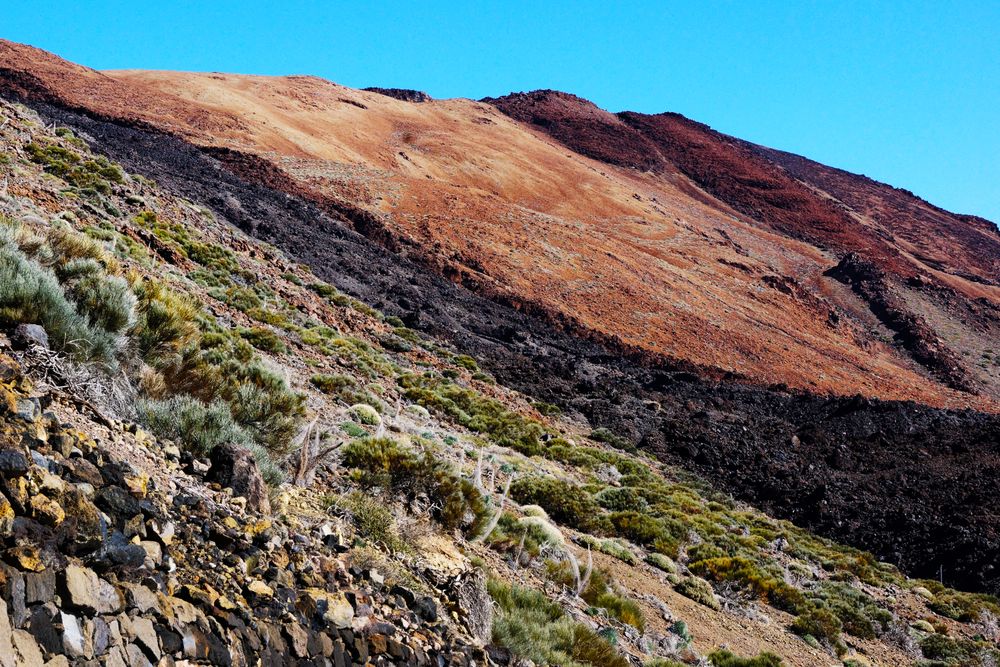 Mountain peak and burnt wild landscape
