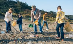 Volunteers cleaning the beach