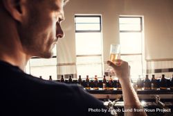 Young man examining craft beer sample glass in manufacturing factory 0LMYD5